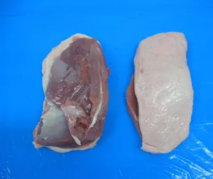 Duck Fillet