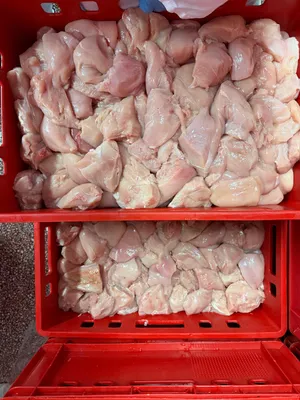 Chicken Filet off cuts, cleaned, no bones/fat/skin frozen