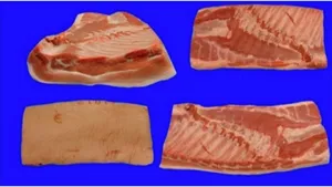Pork belly, boneless - 5.25 euro/kg