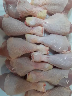 Chicken drumsticks grade A
