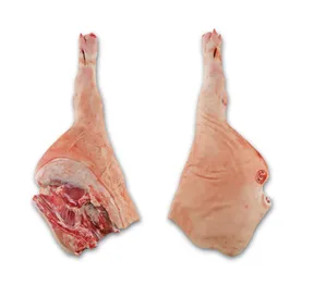 Leg bone in incl. Foot