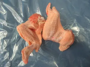 78t chicken prime wings B grade, 10 - 12 kg carton