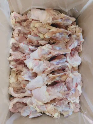 Chicken Skeleton