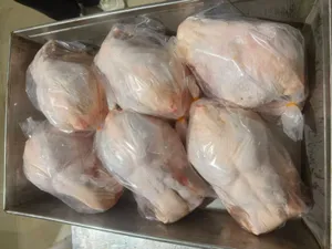 Whole chicken / chicken suit