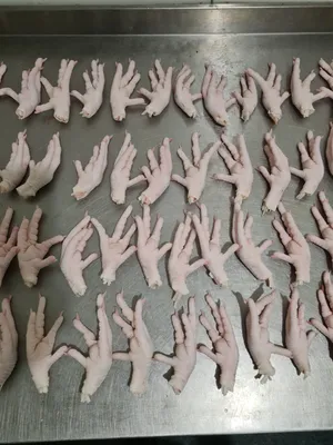 Frozen Chicken Paws