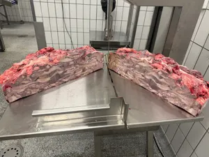 Frozen beef meat IV