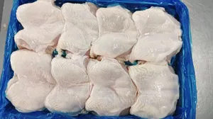 Frozen Butterfly Chicken Breast