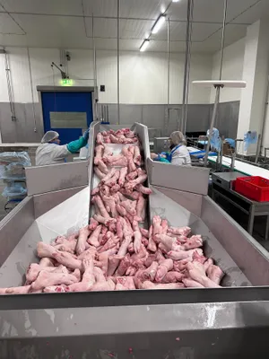 Pork Hind Feet - Frozen