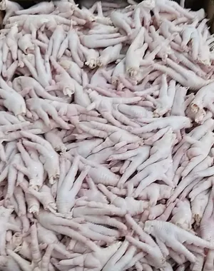Frozen chicken paw , Grade A  for Hong kong and Vietnam