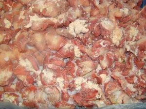 Frozen chicken gizzards, Poland naked block