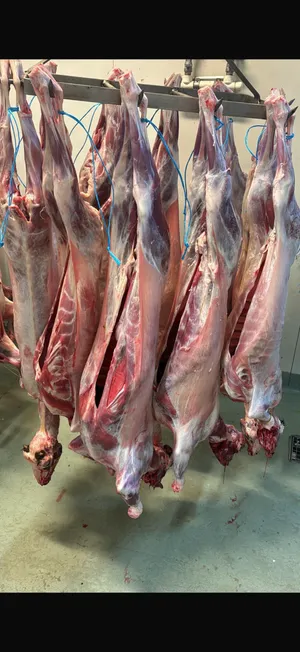 Halal goat with head and innards