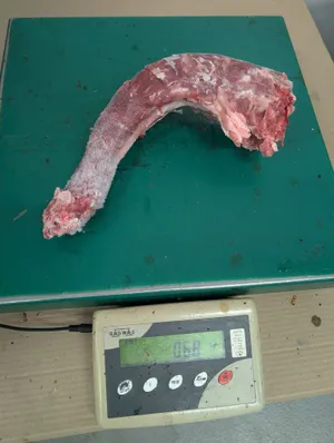 Frozen turkey necks (male) 500-700g