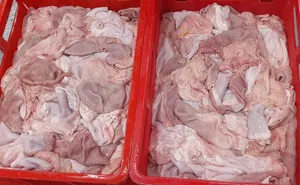 FROZEN PORK STOMACHS