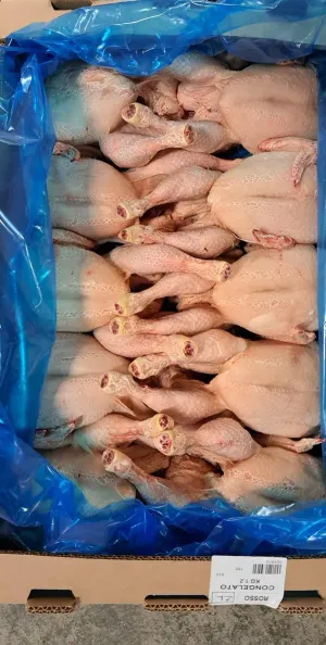 frozen Chicken