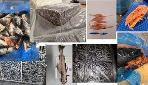 Fish for pet food