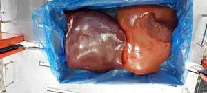 Rindfleisch essbare Innereien product image