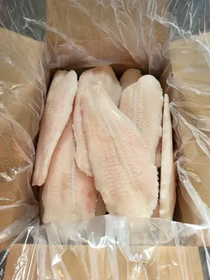 Frozen Pangasius fillets