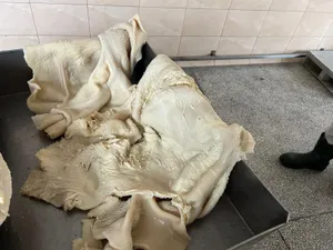 Frozen beef tripe