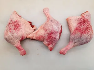 Duck legs – Class B