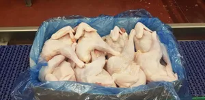 Whole light hen with neck – Class A