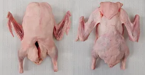 Eviscerated goose with giblets
