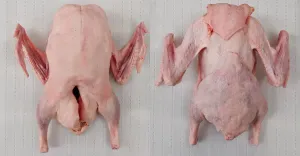 Eviscerated goose with giblets