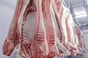 fresh beef meat