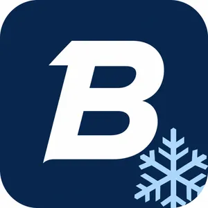 BrightonPackingLLC logo
