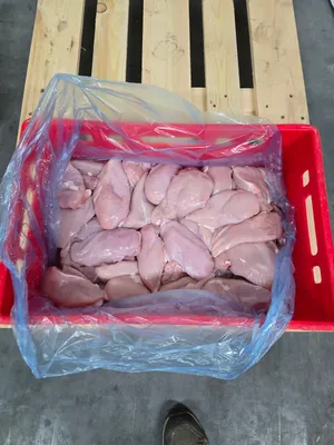 Fresh Chicken Breast Fillet