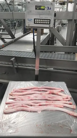Beef Pizzels