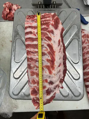 Frozen Pork spare ribs