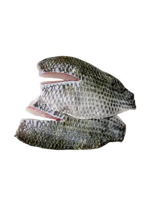 Tilapia fillet with skin