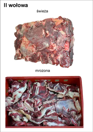 Frozen beef trimming 80/20