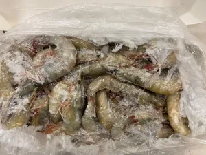 Vannamei shrimp 50/60 ppk