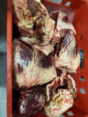 Beef heart