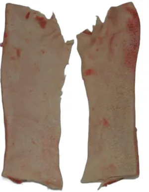 Frozen pork neck fat, origin Germany, 20000 kg available, 1.10 per kg, EXW., 20 t, 20000, valid 14 days