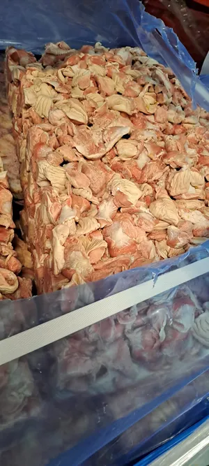 Frozen chicken gizzard
