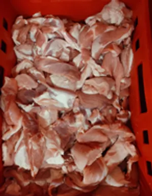 Fresh pork trimming 90/10