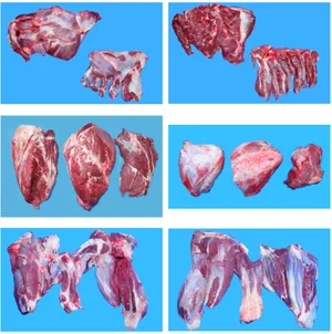 Beef Carcass & Forequarter product image