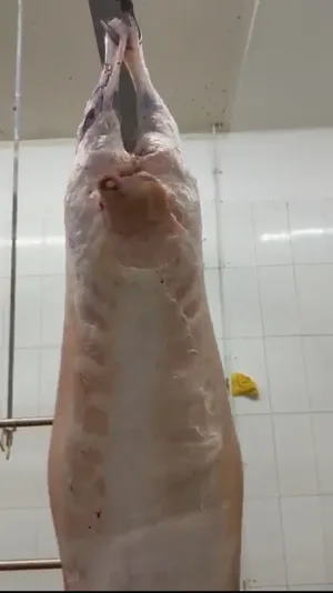 Halal Whole Lamb