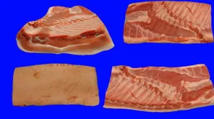 Chicken Specialty Cuts product image