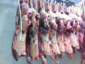 Beef Carcass & Forequarter product image