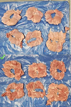 Chicken leg meat, boneless, skinless