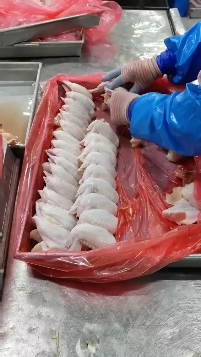 Frozen whole chicken wings (3-joint wings) 2