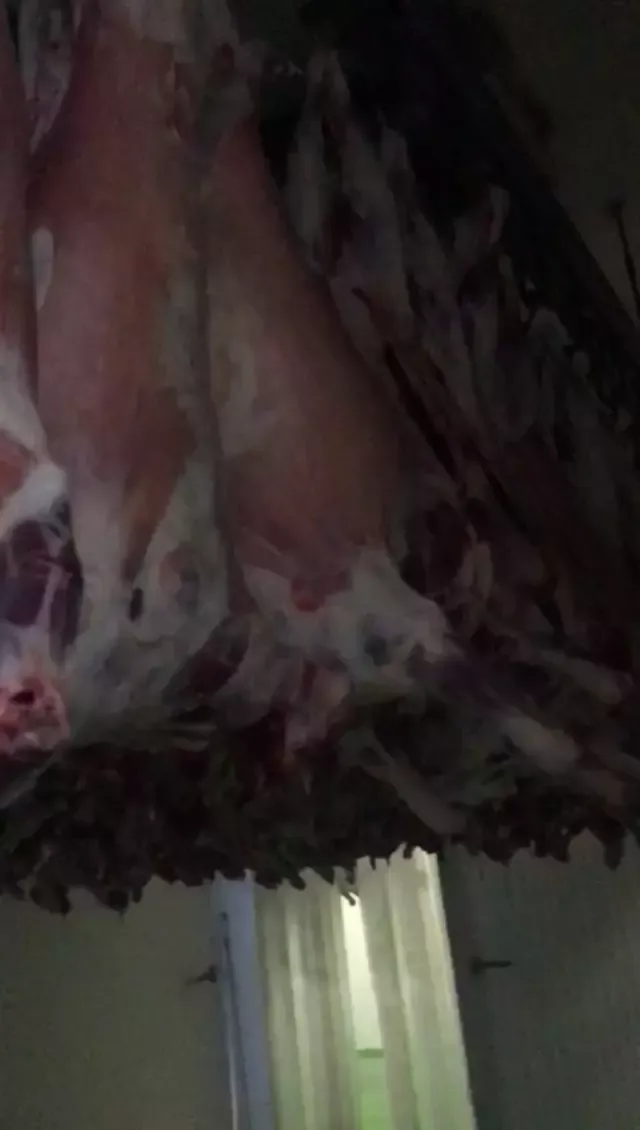 Lamb whole carcass  5