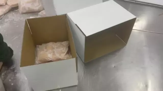 Chicken Breast Boneless Skinless 3