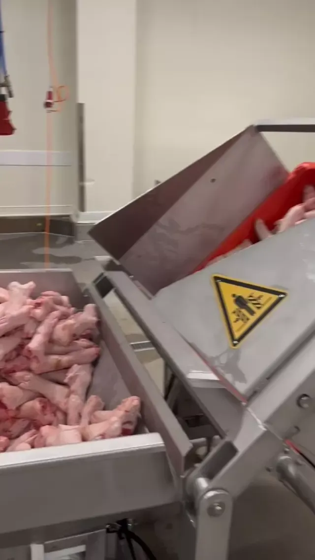 Pork Hind Feet - Frozen 2