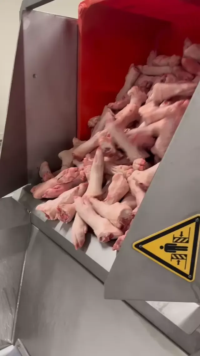 Pork Hind Feet - Frozen 4
