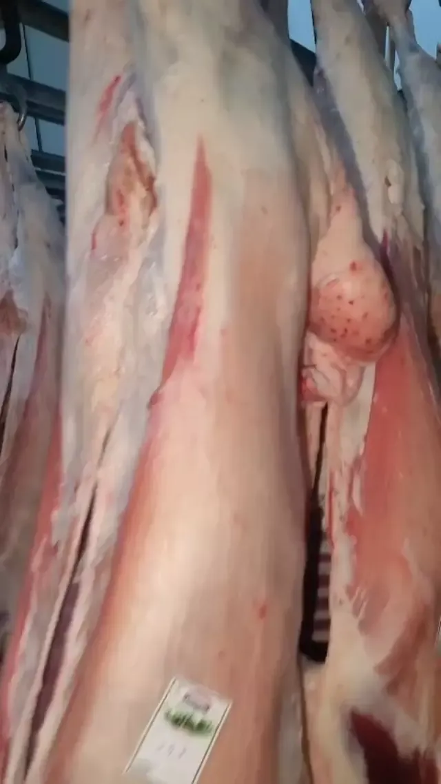 Ewes meat 1