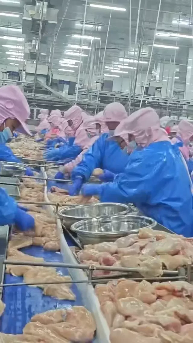 Chicken Breast Boneless Skinless 3